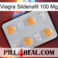 Viagra Sildenafil 100 Mg 24